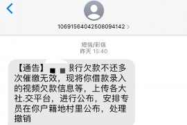 桓台为什么选择专业追讨公司来处理您的债务纠纷？